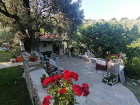 Vasilis' kalivi